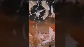что будет, если в тело попадет снаряд