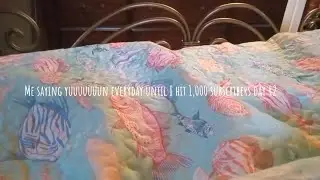 Me saying yuuuuuuun everyday until I hit 1,000 subscribers day 42