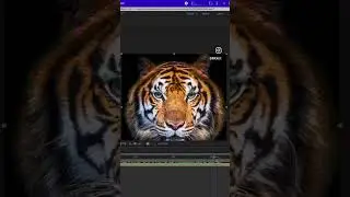 Learn how to add movement to still images with loopFlow after effects plugin.
