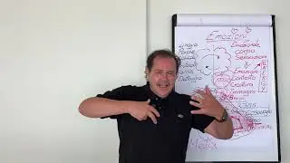 Emozioni svelate: il codice nascosto che semplifica la vita e trasforma il tuo potere interiore