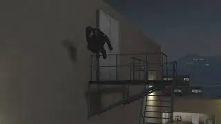 Monkey to Roll | Short Animation
