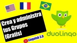 Mejor plataforma para enseñar Idiomas: Duolingo Schools -Guía Docentes (2020)
