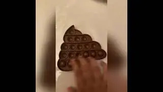 💩poop fidget pop its 