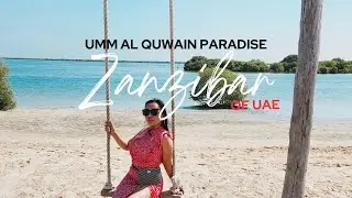 MANGROVE BEACH Perfect for Camping Kayaking Picnic | Umm Al Quwain