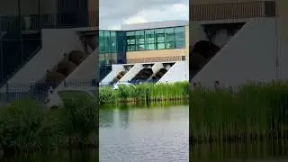 Real-life Example of Archimedes Water Pump