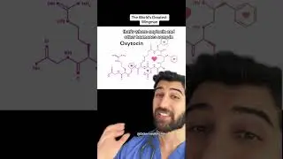 This is The World’s Greatest Wingman 