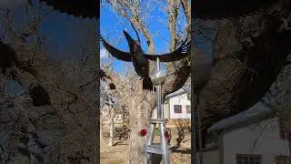 Salado Sculpture Garden