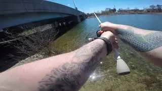 Dayton Oh Lake April 2019 1 2