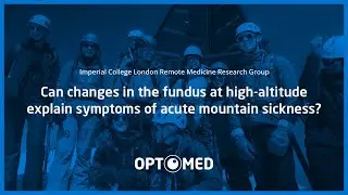 Can changes in the fundus at high-altitude explain symptoms of acute mountain sickness?