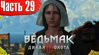 Ведьмак 3: Дикая Охота Прохождение Часть 29: 