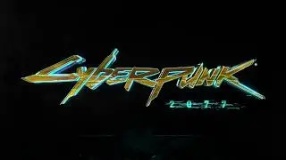 Cyberpunk 2077 Turkey Edition