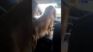 На пути в будущее