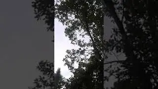 Работа на даче