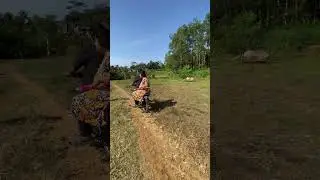 Binti sayang papa lahuri