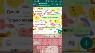 Переписка с фейком