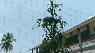 cinematic video 15 detik #cinematicvideo #astaticeducation