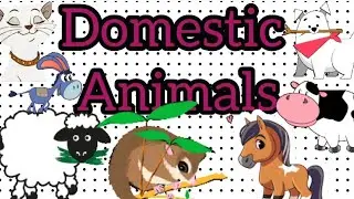 Domestic Animals |Domestic Animals With Sound And Pictures| Domestic Animals For Kids