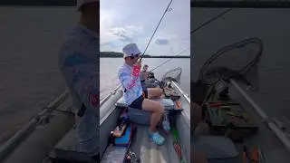 Когда все же клюнул судак #рыбалка #спиннинг #судак