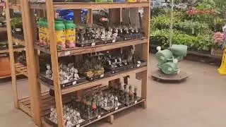 Plant hunting at Lowe's