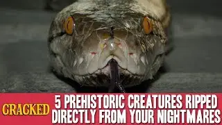 5 Prehistoric Creatures Ripped Directly from Your Nightmares