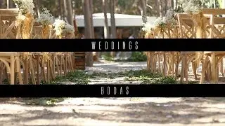WEDDING Reel 2018