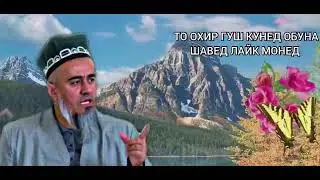 ТАВБА