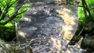 Природа Сахалина фильм 2..mp4