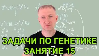 Задачи по генетике - 15. Сцепление с полом. Решение задач