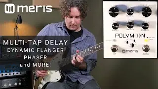 Meris Polymoon - Multi-Tap Modulated Delay (STEREO)