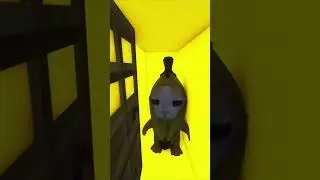 Doors Leads To Gigachad,Skibidi dop dop yes yes and Banana Cat 