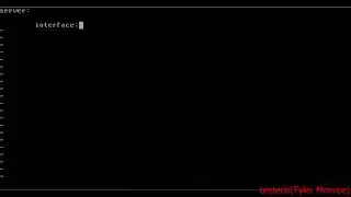 NetBSD Unbound DNS Server Setup