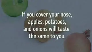 Amazing Facts about Fruits and Vegetables!