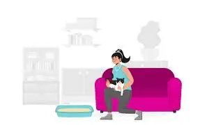 Why Do Cats Pee On Bean Bag Chairs?