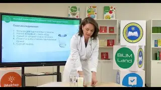 2 класс. Естествознание. Какие тела пропускают свет. 08.04.2020