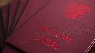 Дипломы установленного образца по соционике