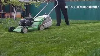 Стрижка газона Киев