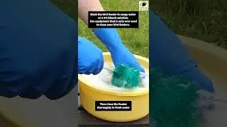 How to clean a bird feeder