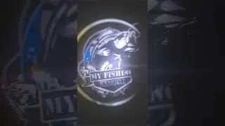 28 мая 2023 г.