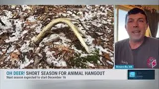 The Weather Channel Interview 3/18/24