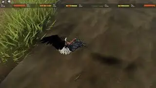 catching fish on wild savanna