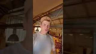 #theatre #mariinsky #театр #искусство #history #youtubeshorts #painting #творчество #художник