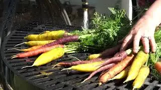 Arkansas Agriculture Industry – Thank you