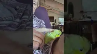 The sweetest little baby  #famous #trending #trendingnow #canada #trendingvideo #viralvideoシ