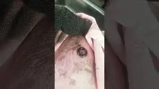 ГУР маза резиновое кольцо