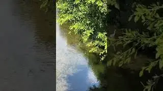 ЧУДЕСНО!!!Правда же?😊