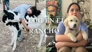 Les Presento A Luna Y A Cielo!