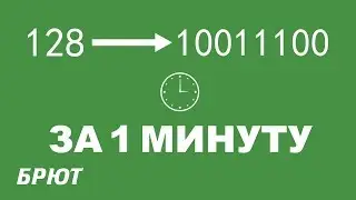 Перевод числа в двоичную систему за два шага!!!
