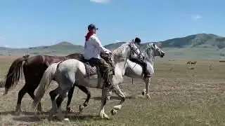 Скачки Верх Аскиз 1.06.2024г