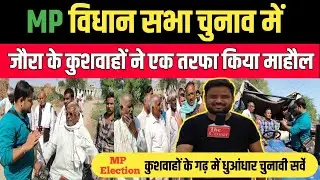 MP Election: विधानसभा चुनाव में  मुरैना जोरा के कुशवाहों ने एक तरफा किया माहौल || MP Election 2023