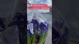 Why Europe is successful in business (Urdu - Hindi ) 